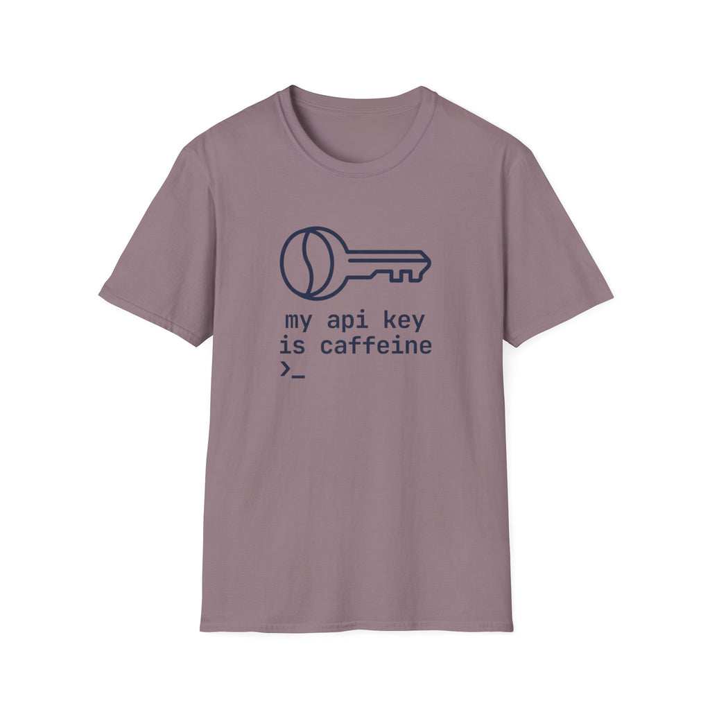 API Key T-Shirt