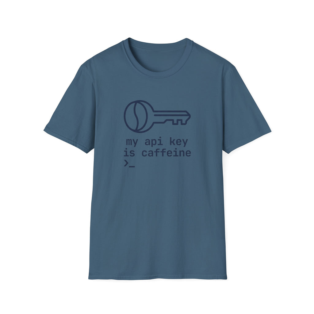 API Key T-Shirt