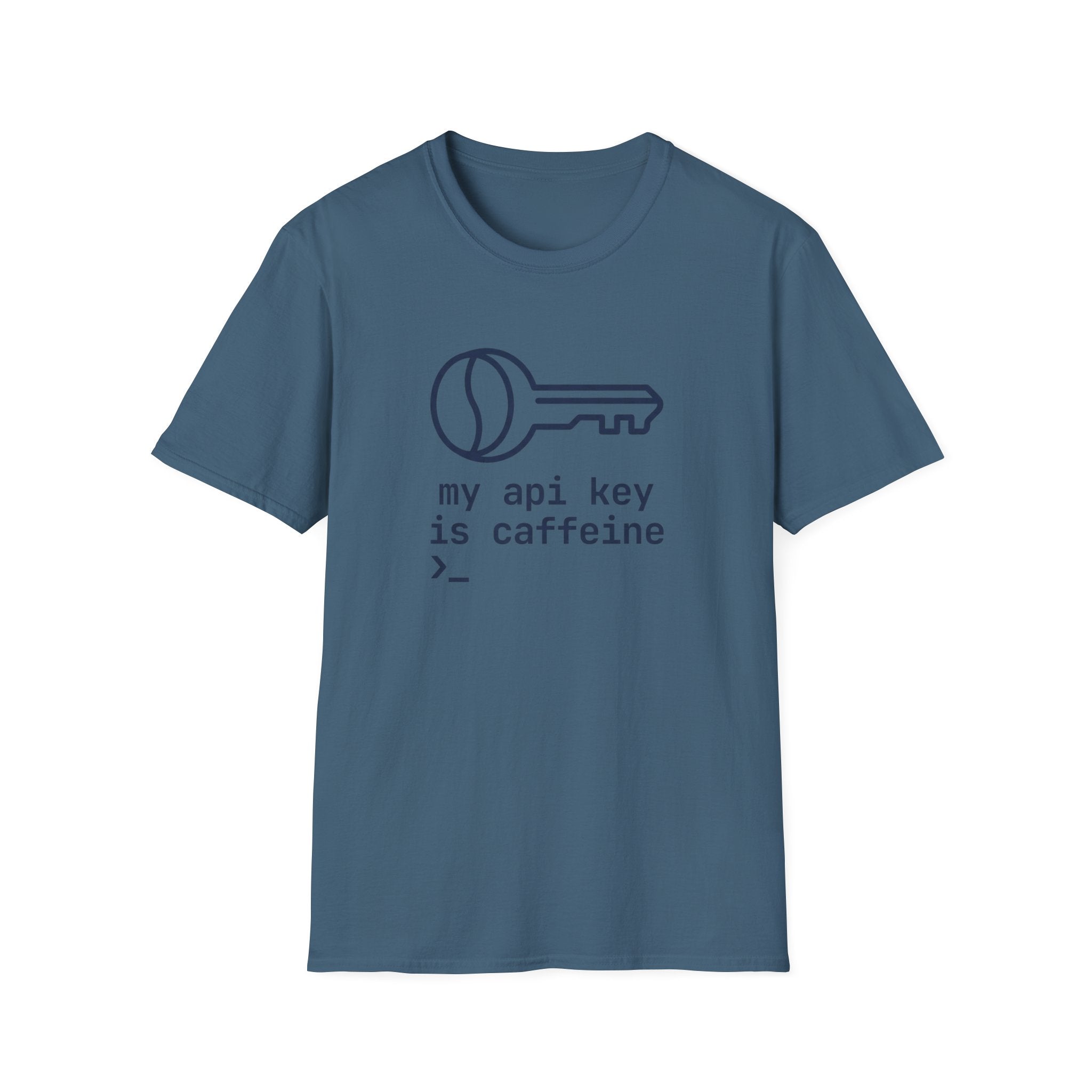 API Key T-Shirt