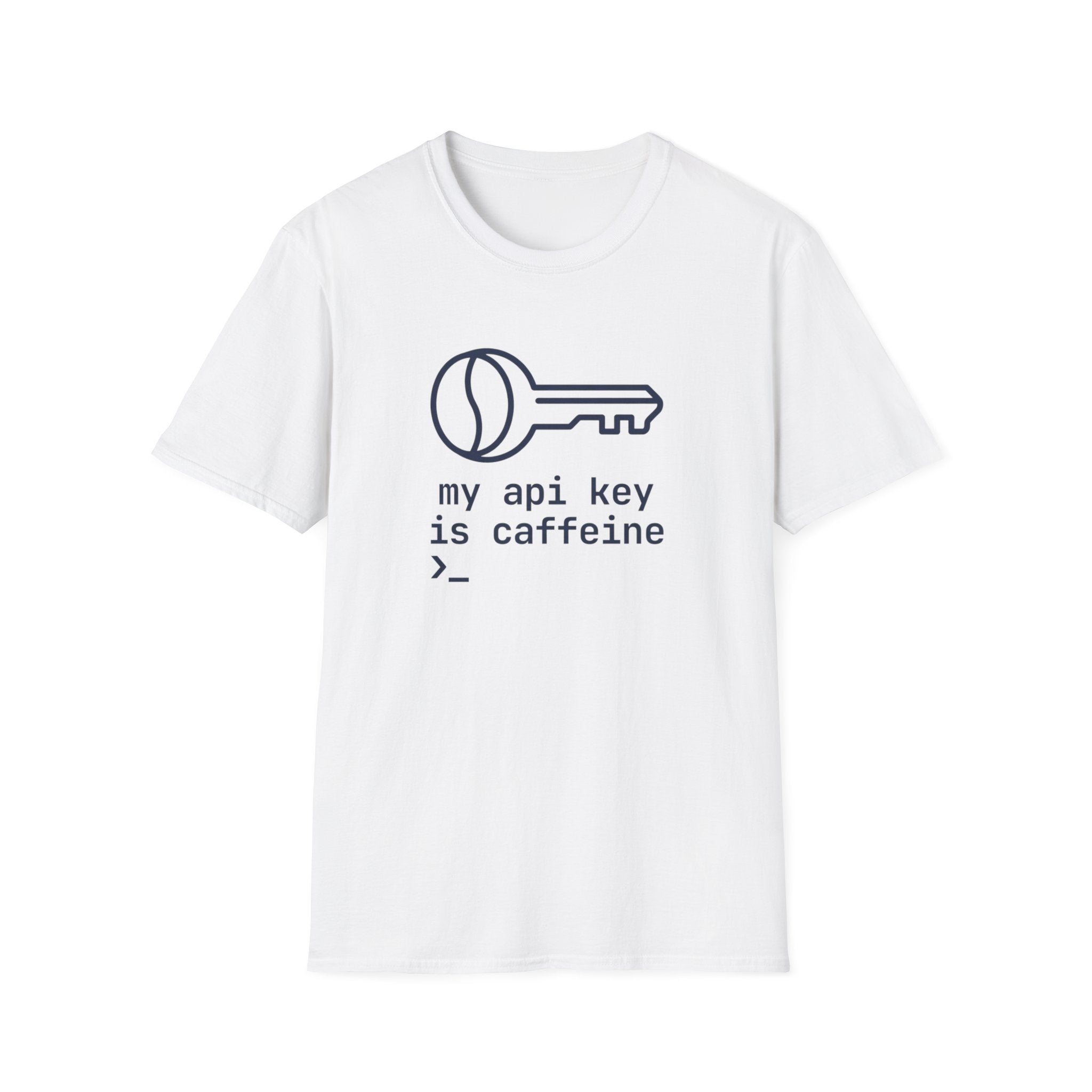 API Key T-Shirt