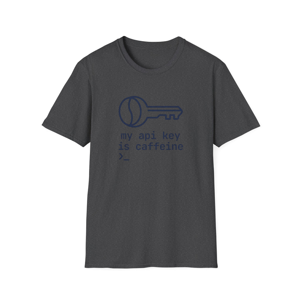 API Key T-Shirt