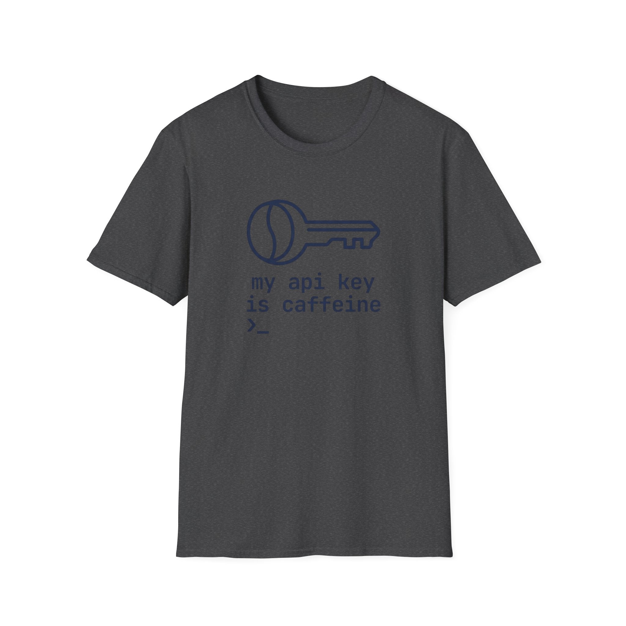 API Key T-Shirt