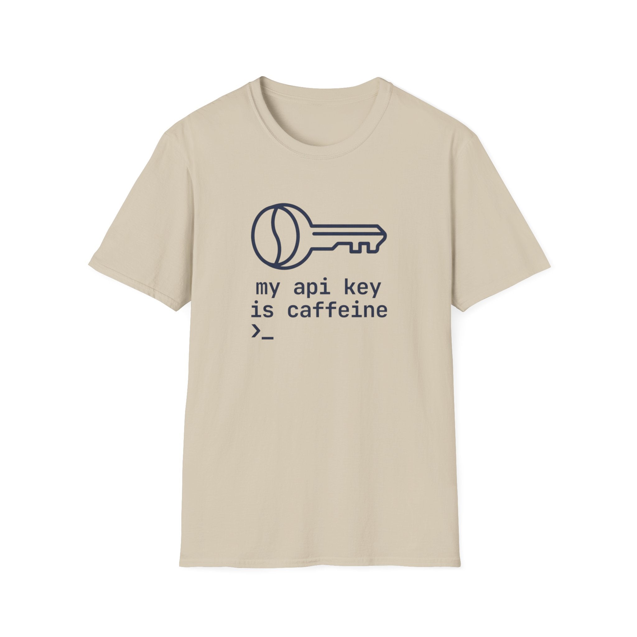 API Key T-Shirt